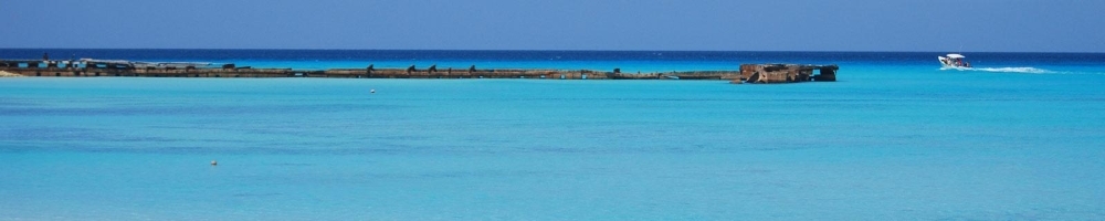 Barbados International Rugby 7 Holidays